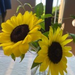 IMG_0673
