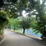 IMG_0699